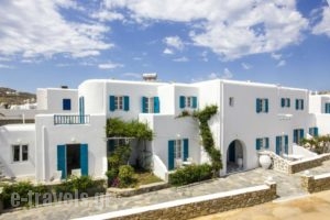 Cyclades Studios_travel_packages_in_Cyclades Islands_Mykonos_Mykonos ora