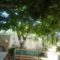 Paradise Studios_lowest prices_in_Hotel_Sporades Islands_Skopelos_Skopelos Chora