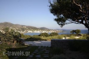 Villa Spitaki_accommodation_in_Villa_Cyclades Islands_Antiparos_Antiparos Chora