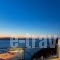 Hotel Villa Renos_accommodation_in_Villa_Cyclades Islands_Sandorini_Fira