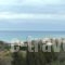 Andre Corfu Village_accommodation_in_Hotel_Ionian Islands_Corfu_Corfu Rest Areas