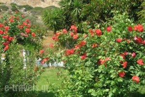 Villa Di Matala Apartments_holidays_in_Villa_Crete_Heraklion_Matala
