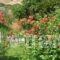 Villa Di Matala Apartments_holidays_in_Villa_Crete_Heraklion_Matala