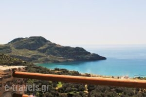 Village Apartments_travel_packages_in_Crete_Rethymnon_Plakias