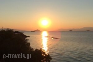 Isidora Hotel_accommodation_in_Hotel_Piraeus Islands - Trizonia_Aigina_Aigina Chora