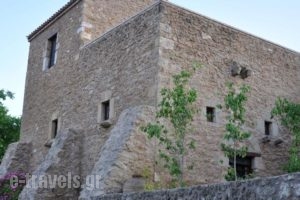 Pyrgos 1869_accommodation_in_Hotel_Peloponesse_Lakonia_Gythio