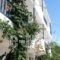 Baywatch Apartments_travel_packages_in_Dodekanessos Islands_Karpathos_Karpathosora