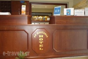 40 Platania_holidays_in_Hotel_Central Greece_Evia_Edipsos
