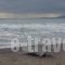 Nicholas Beach Studios_best deals_Hotel_Dodekanessos Islands_Rhodes_Lindos