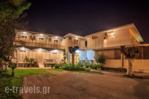 Byzantium Studios and Apartments_accommodation_in_Apartment_Ionian Islands_Zakinthos_Laganas