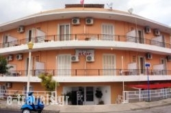 Star Hotel_s __1