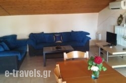 Hotel Flesvos_s __1