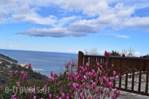 Lions Nine_holidays_in_Hotel_Thessaly_Magnesia_Mouresi