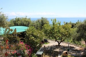 Apartment Marema_holidays_in_Apartment_Thessaly_Magnesia_Koropi