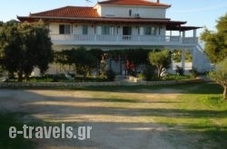 Mikro Nisi Studios_s __2
