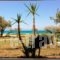 Malindi Rooms_best prices_in_Room_Piraeus Islands - Trizonia_Spetses_Spetses Chora