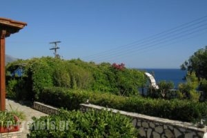 Thanasis Apartments_holidays_in_Apartment_Ionian Islands_Kefalonia_Kefalonia'st Areas
