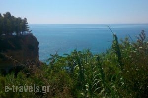 Thanasis Apartments_lowest prices_in_Apartment_Ionian Islands_Kefalonia_Kefalonia'st Areas