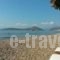 Argolic Strand Camping_best prices_in_Hotel_Peloponesse_Arcadia_Astros