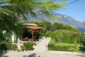 Thanasis Apartments_best prices_in_Apartment_Ionian Islands_Kefalonia_Kefalonia'st Areas