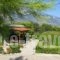 Thanasis Apartments_best prices_in_Apartment_Ionian Islands_Kefalonia_Kefalonia'st Areas