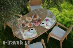 Lily's Cottage_s __1