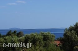 Sunny Apartments Halkidiki_s __1