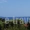 Sunny Apartments Halkidiki_accommodation_in_Apartment_Macedonia_Halkidiki_Kassandreia