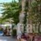 Twin House_best prices_in_Hotel_Piraeus Islands - Trizonia_Spetses_Spetses Chora