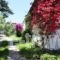 Holiday Home Aghia Triada_travel_packages_in_Thessaly_Magnesia_Koropi