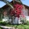 Holiday Home Aghia Triada_accommodation_in_Hotel_Thessaly_Magnesia_Koropi