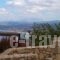 Bougainvillea_best prices_in_Villa_Crete_Chania_Vryses Apokoronas