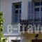 Villa Blue Pine_accommodation_in_Villa_Thessaly_Magnesia_Portaria