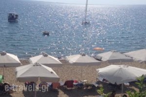 Koktsidis House_best deals_Hotel_Macedonia_Halkidiki_Poligyros