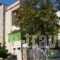 Iliotropio Studios_best prices_in_Hotel_Central Greece_Evia_Edipsos