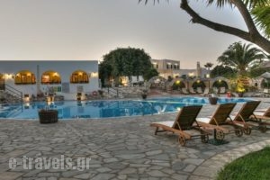 Asteras Paradise_holidays_in_Hotel_Cyclades Islands_Paros_Paros Chora