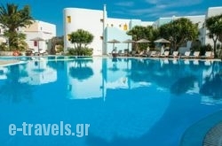Asteras Paradise_s __1