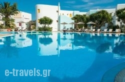 Asteras Paradise in Paros Chora, Paros, Cyclades Islands