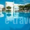 Asteras Paradise_accommodation_in_Hotel_Cyclades Islands_Paros_Paros Chora