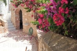 The Stone House_s __1