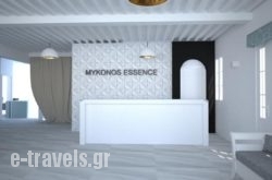 Mykonos Essence Hotel_s __2