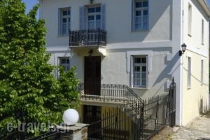 Villa Blue Pine_travel_packages_in_Thessaly_Magnesia_Portaria