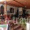 Mango Rooms_accommodation_in_Room_Dodekanessos Islands_Rhodes_Rhodesora