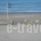 Rooms To Let Rena_holidays_in_Room_Cyclades Islands_Sandorini_Sandorini Chora