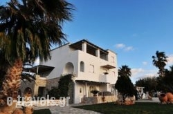 Paradiso Boutique Hotel_s __1