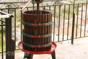 House Calypso_accommodation_in_Hotel_Ionian Islands_Ithaki_Ithaki Chora