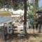 aqua viva_best prices_in_Hotel_Thessaly_Magnesia_Almiros