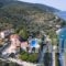 Muses Villas_holidays_in_Villa_Sporades Islands_Skopelos_Skopelos Chora