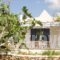 Spiti Apartment_accommodation_in_Apartment_Cyclades Islands_Ios_Ios Chora