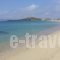 Margaret of Naxos_holidays_in_Hotel_Cyclades Islands_Naxos_Naxos Chora